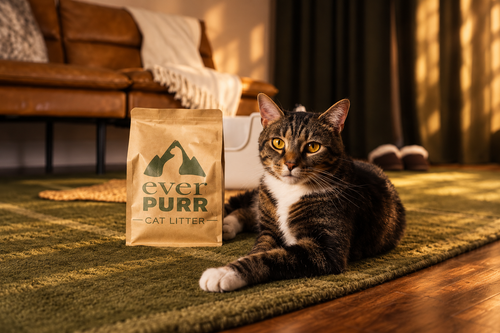 A brown and white tabby cat lies on a green rug next to a brown bag of Ever Purr Cat Litter in a warmly lit living room.